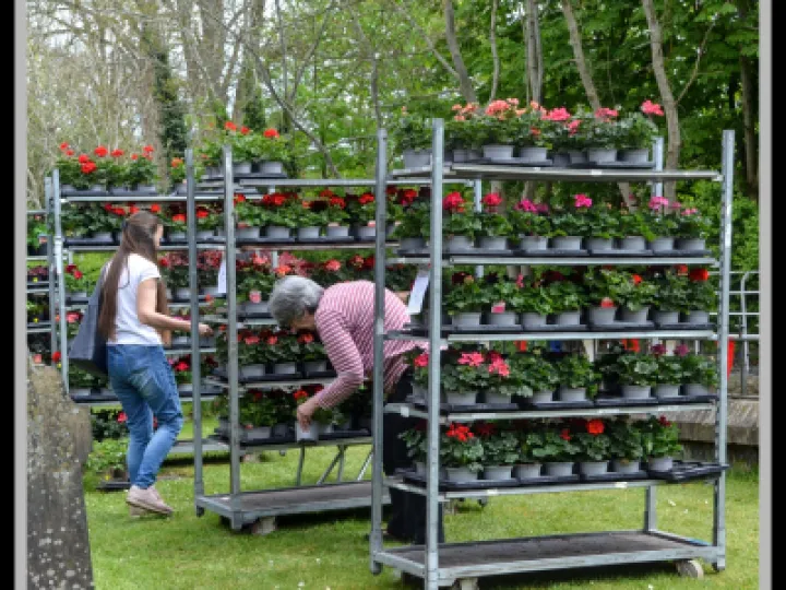 Pj 20230429 121303 0027