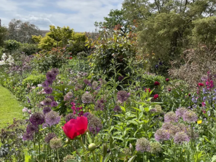 0D410216-FD9E-4142-B967-F3E1B6311E37