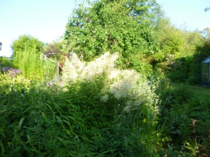 Flower Club Firs Garden June 2023 MD P1040279