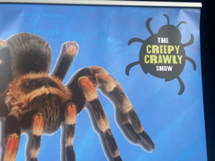 Summer fete 2023 &ndash; Creepy Crawly show