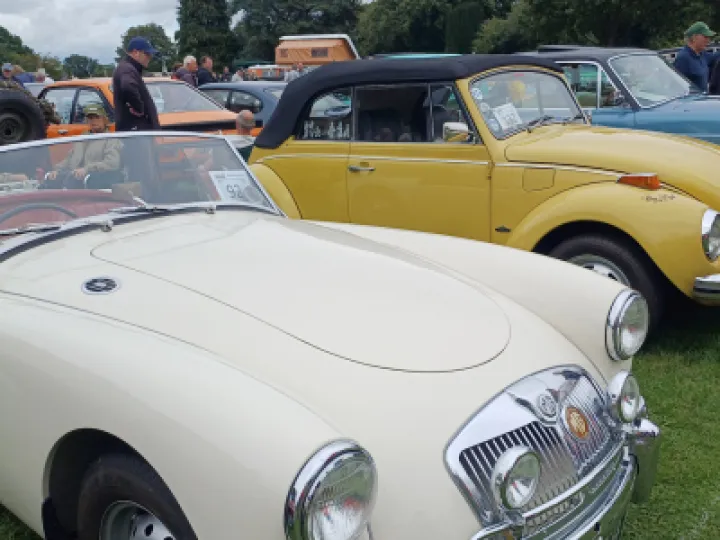 Helen Mayrick &ndash; TP Festival