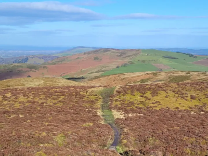 C6b1e50b 55b4 4cdc 8cdc 89d5e68e2a04