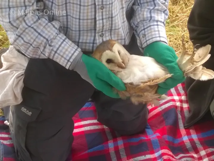 WP_20180615_15_03_25_Pro