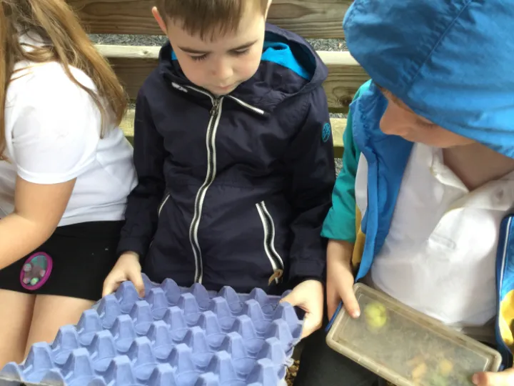 Pearl Forest school 6