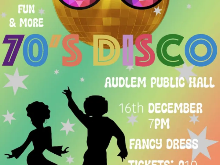 Music Festival Disco