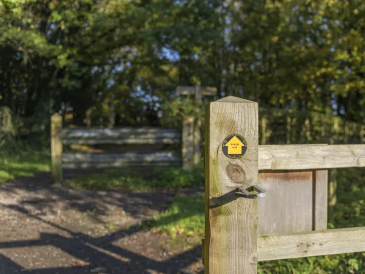 Image: 20231111 103122