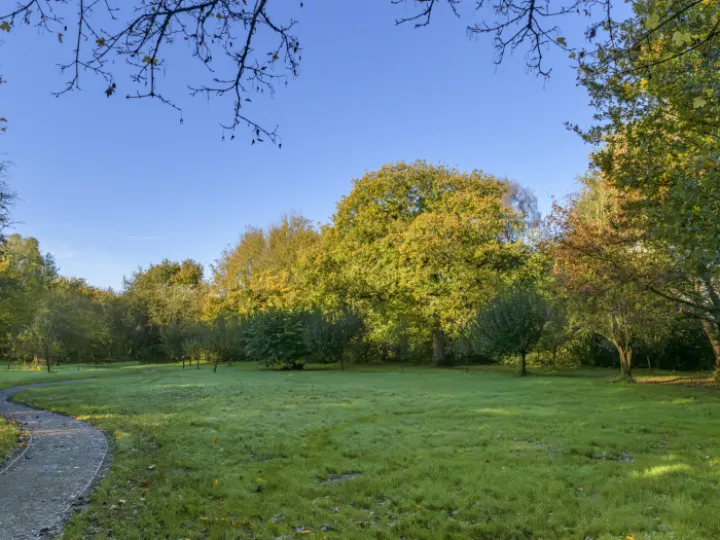 Image: 20231111 115444 01 Enhanced NR