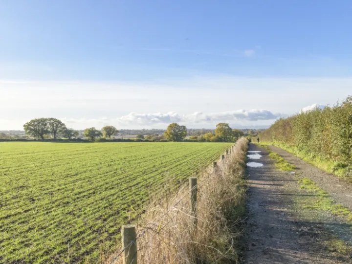 Image: 20231111 104739