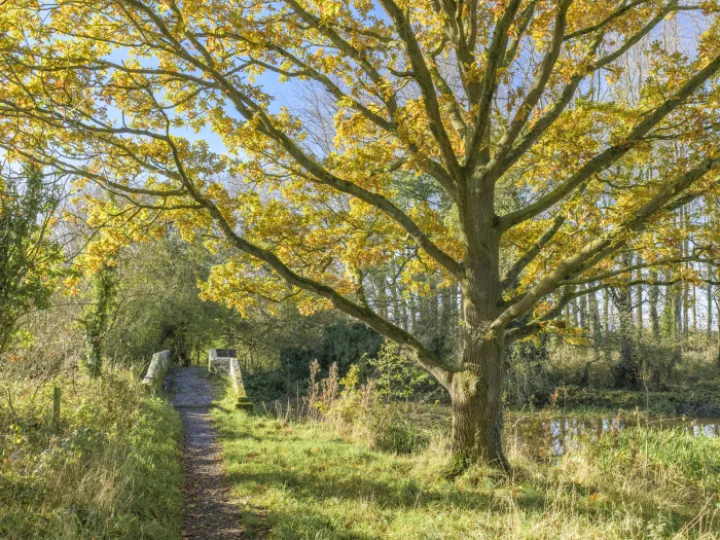 Image: 20231111 112017