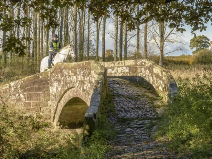 20231111-110632-Enhanced-NR