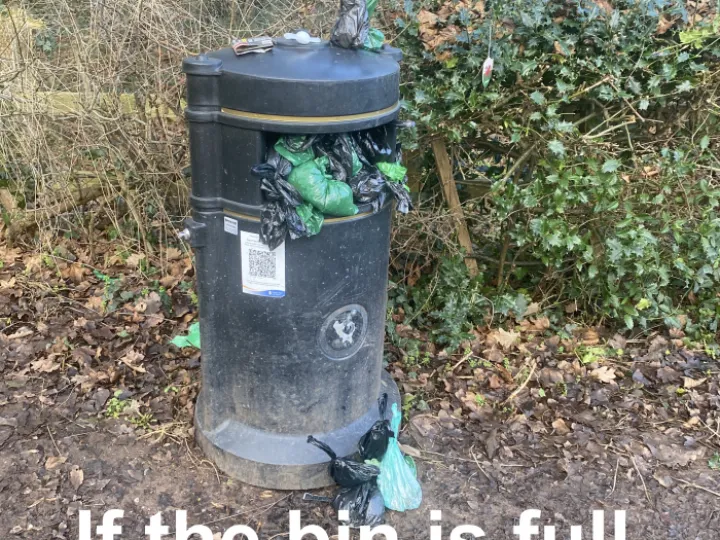 Overflowing Bin Dog waste