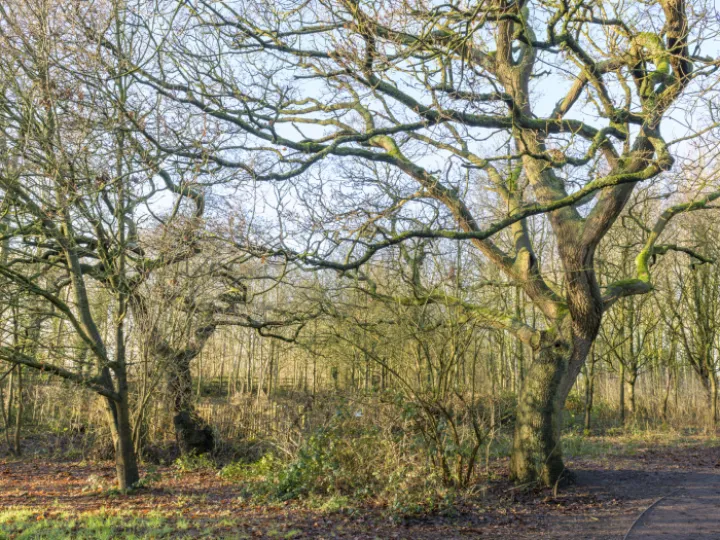 20240106-140954-Enhanced-Nr