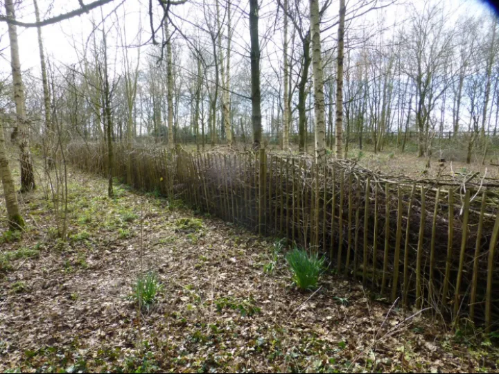 Tcw Dead Hedge Nearing Completion  2