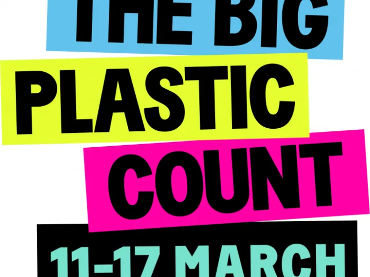 Bigplasticcount