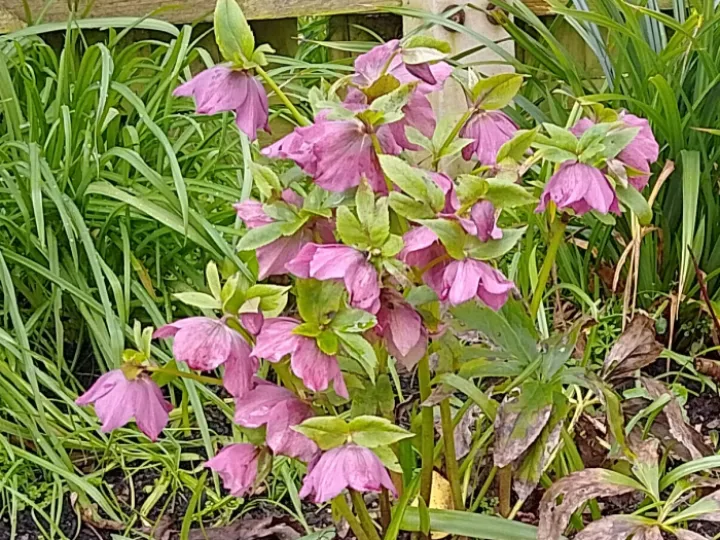 Img_20240224_121610_hdr