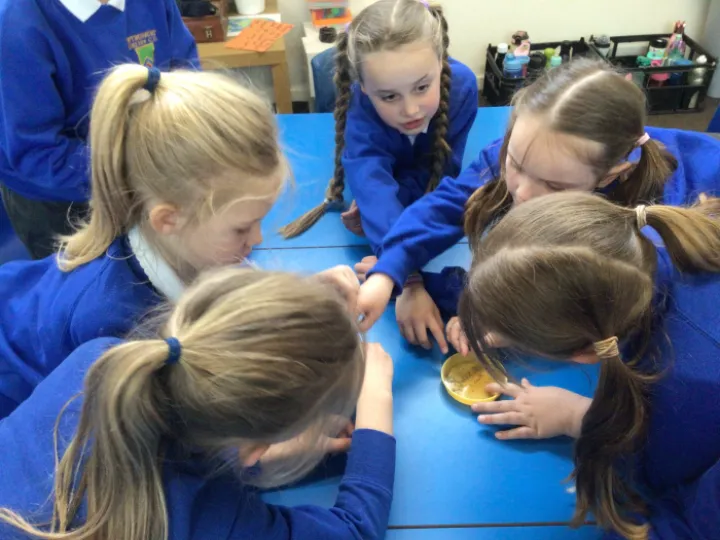 39ba1d47-8fef-428a-887b-061adac98846