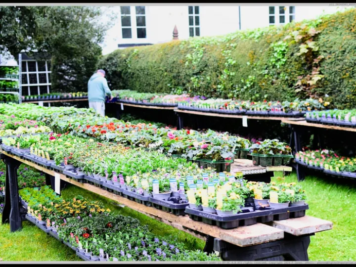 Pjj_20240503_095928_01