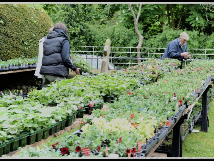 Pjj_20240504_103921_01