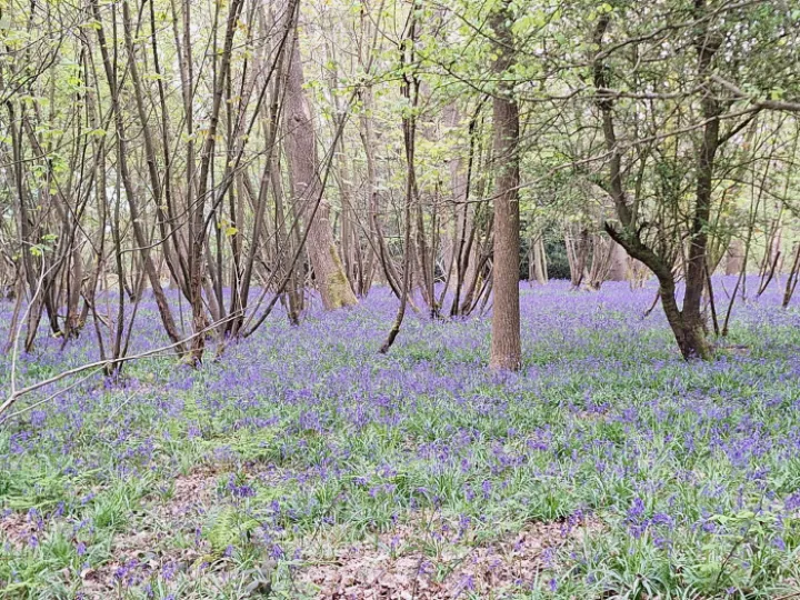 United Church of All Saints, Stanley Common (10th May)