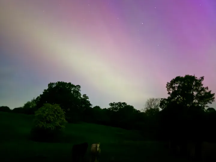 Aurora by Erica Brampton