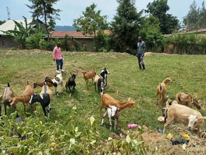 Goboka Rwanda Trust 1