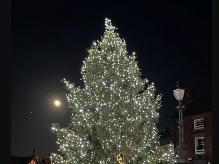 Xmas Tree