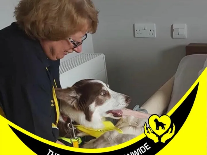 St Andrews Womens Group &ndash; Therapy Dogs Nov 2024