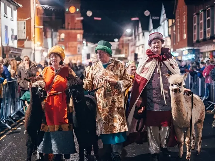 Alpaca Events Promotions 3