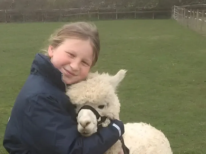 Alpacas After School 2