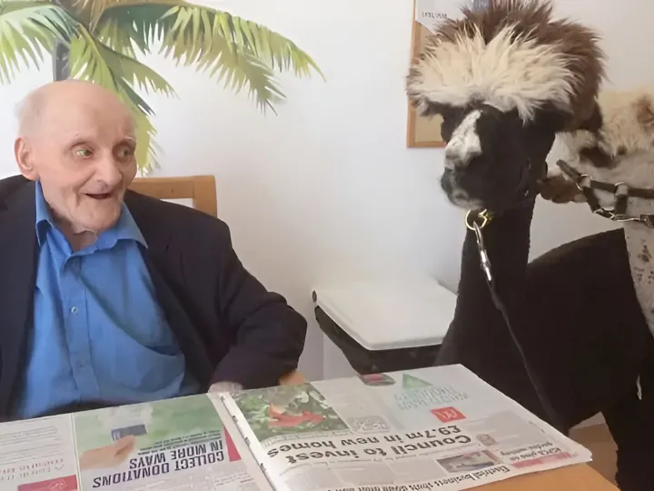 Residential Nursing Home Visit