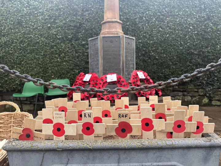 Remembrance Day _6510