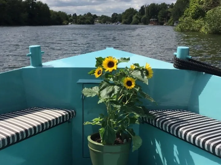 Sunflower-Solar-Canal-Boat