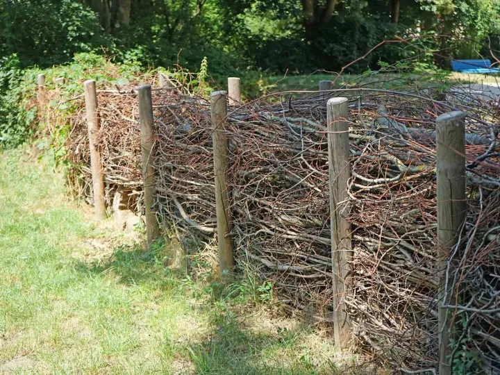 Dead Hedge