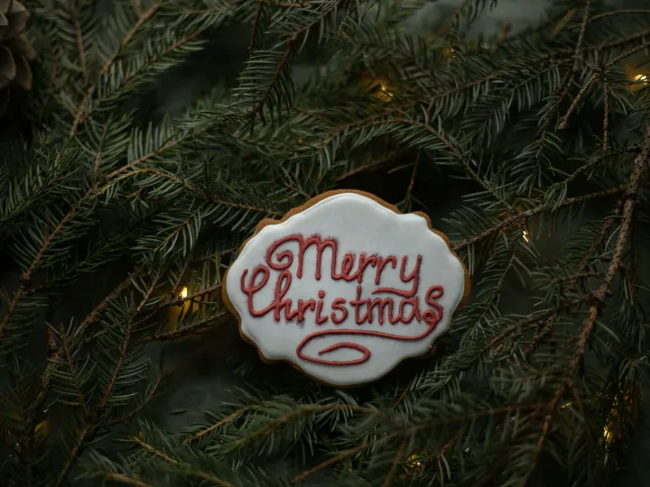 From above of delicious biscuit with decorative title on sugar glaze between coniferous tree sprigs with garland on Christmas Day