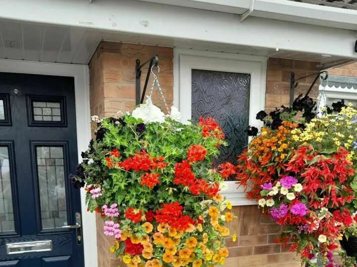 School flowers