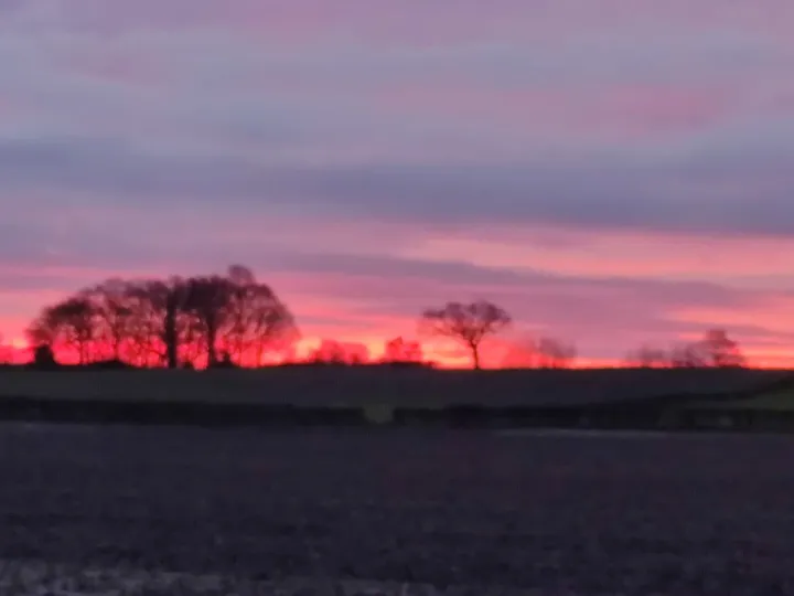 Hatton Skyline 1