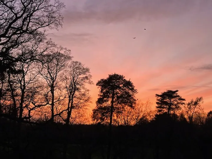 Audlem Jan Sunsets