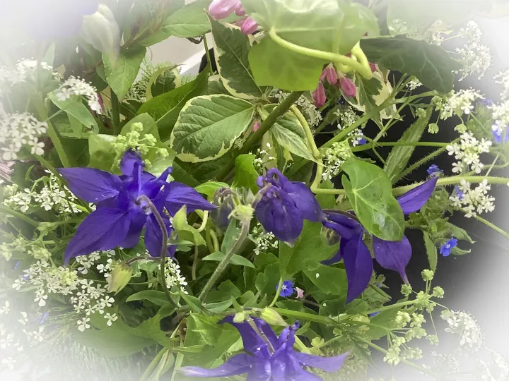 Tarvin Flower Club Next Meeting 02 2025-2