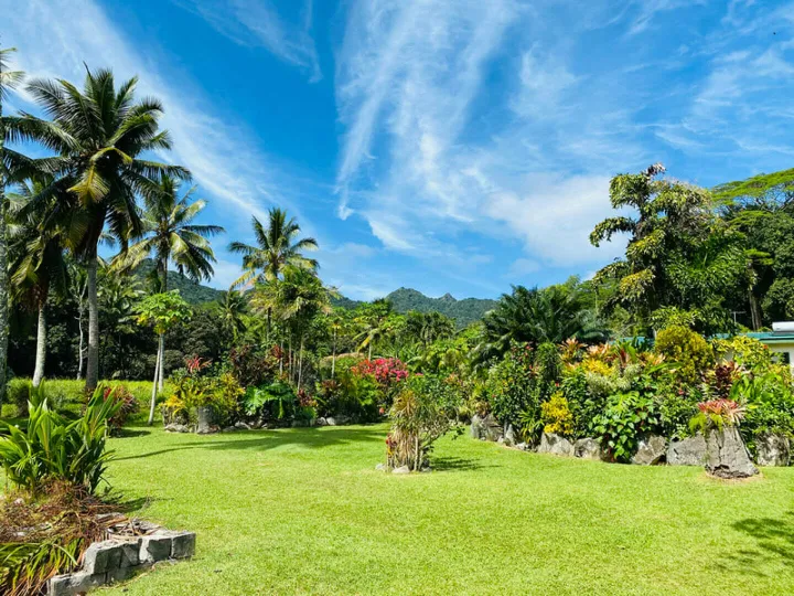 23-Land-With-Fruit-Trees-Wdpic