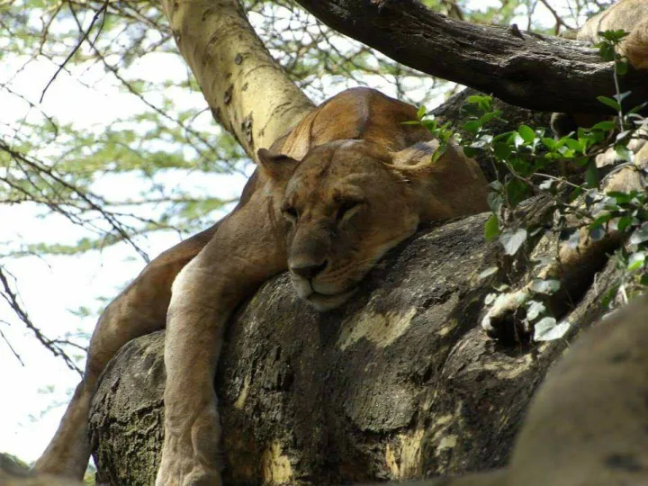 Fb_img_1634819088209