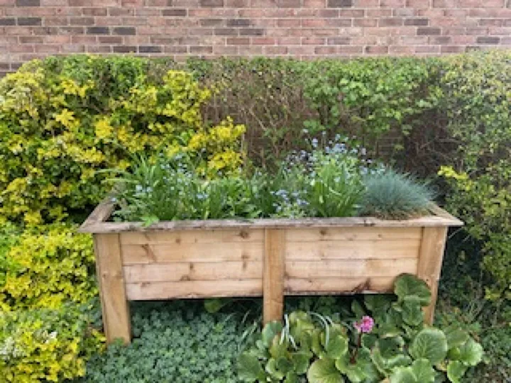 Merrow Community Garden April 25