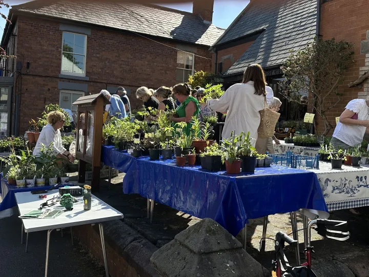 Tarvin Plant Sale 2025 5