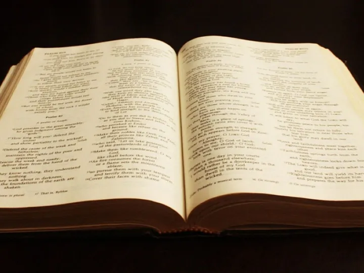 Book, bible, text, literature, christianity, old, study, spiritual, learn, learning, knowledge, god, christian, religion, studying, open bible, antique, bible study, bible, bible, bible, bible, bible, open bible