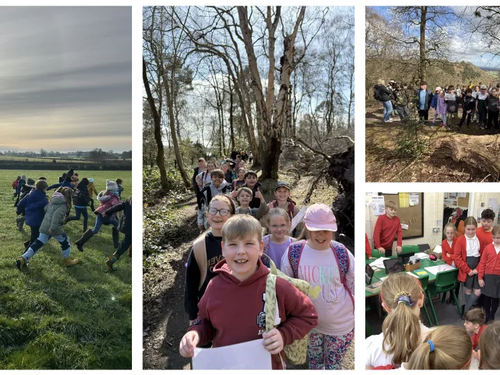 Screenshot 2025-07-18 At 10