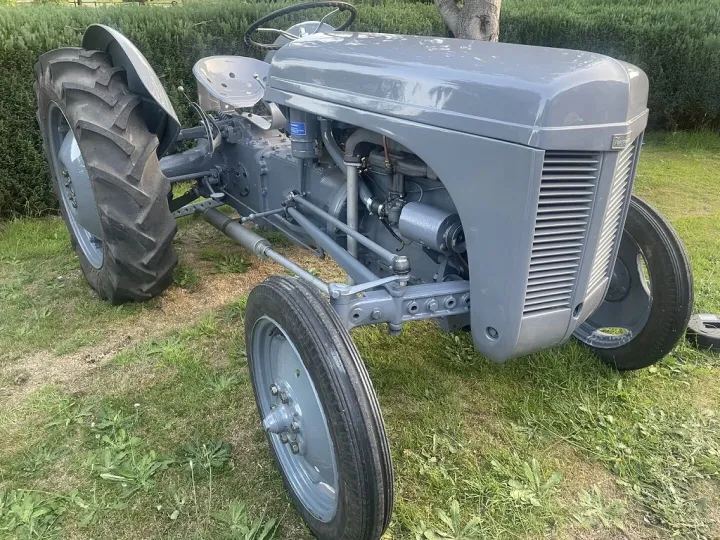 1950 Ferguson Tractor 1