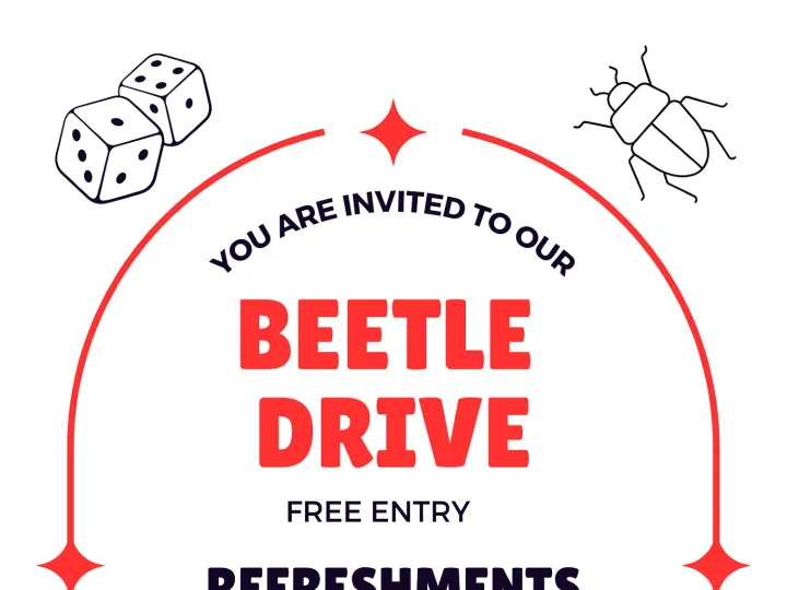 Beetle Drive